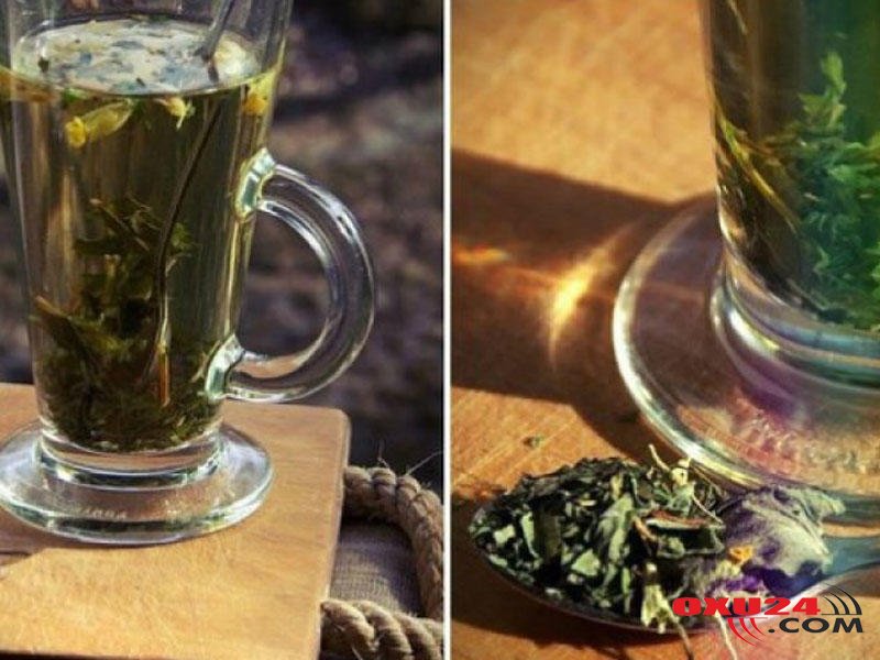 Mastopatiya bu iki bitkidən qorxur - Reseptlər