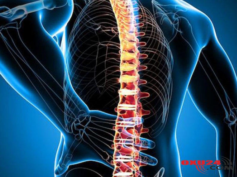 Mütəxəssis: “Bel yırtıqlarının əksəri fizioterapiya ilə sağalır, əməliyyata tələsmək lazım deyil”