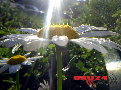 Yağış yağacaq, şimşək çaxacaq - Sabahın havası