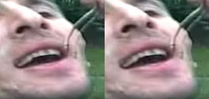 Azərbaycanda ŞOK! Gənc oğlan ilanı belə udur