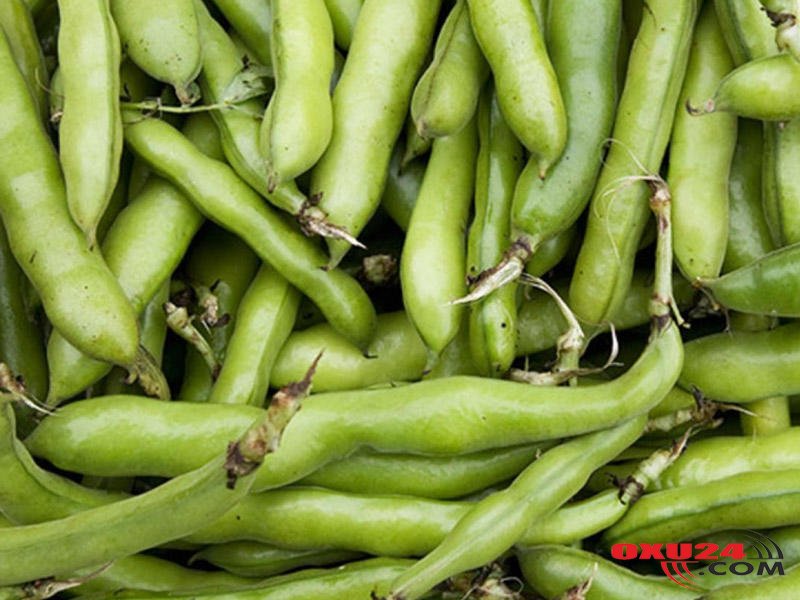 Paxlanın bilmədiyiniz faydaları