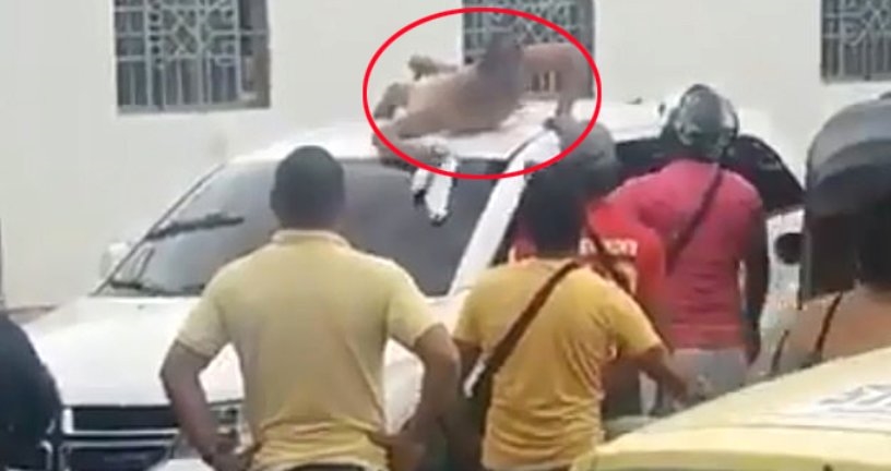 Ərini başqa qadınla yataqda tutan qadından şok addım: Kişini lüt soyundurub...