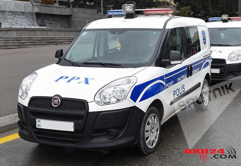 Dişi anakonda erkək olmadan balaladı