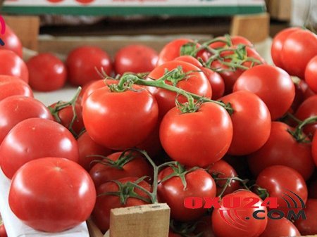 Rusiya 51 ton pomidoru Azərbaycana qaytardı