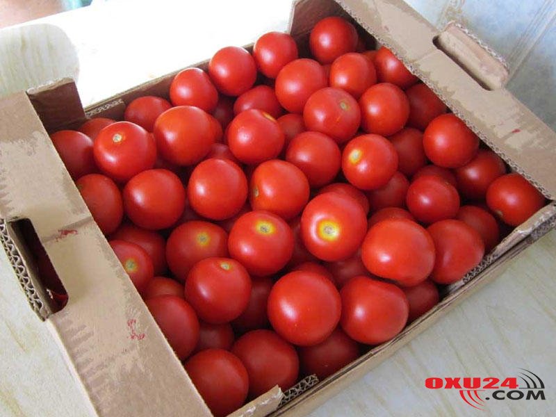 Pomidoru soyuducuda saxlamaq olmaz?