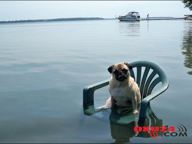 36 dərəcə isti olacaq - Sabahın havası