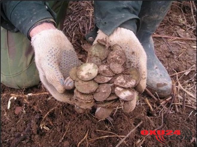 Evinin bağçasında tapdı - MİLYONÇU OLDU - FOTOLAR