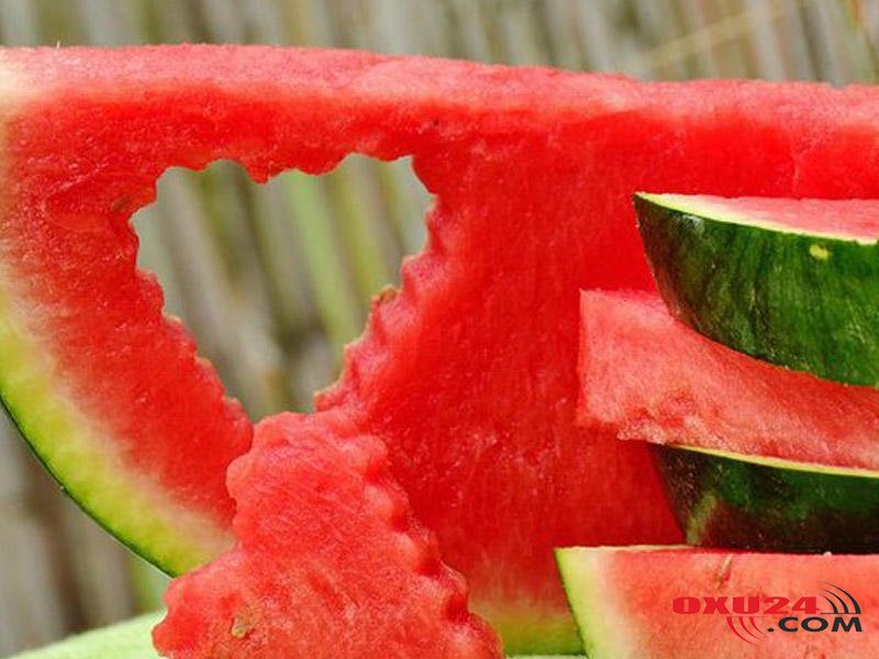 Süd vəzinin mastopatiyası xəstəlik deyil