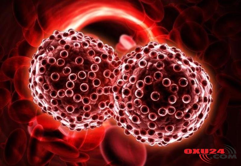 Mütəxəssislər SÜBUT ETDİ - Xərçəng və şəkər xəstəliyinin öhdəsindən gələn TƏK MƏHSUL