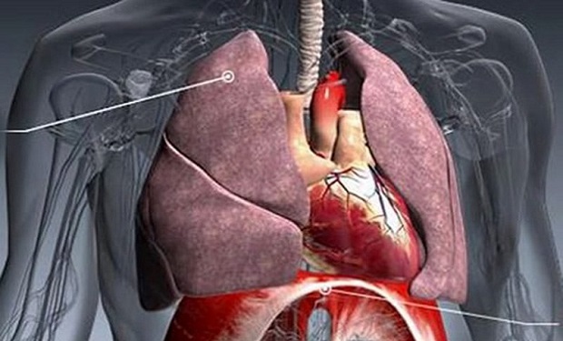 İnsan saçı 12 ton ağırlığı qaldıra biləcək gücə malikdir - Orqanizm haqqında BİLMƏDİYİMİZ FAKTLAR