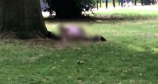 Parkda cinsi əlaqəyə girən gənclər kameraya düşdü