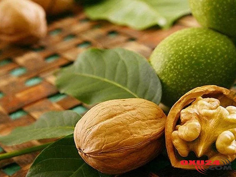 Mədə yarası və qastriti müalicə edən MEYVƏ