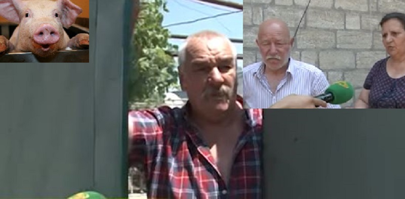 Bakıda donuza görə qonşular arasında kütləvi dava:\\\"Dilini qoy qarnına\\\"