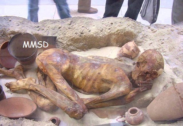 ŞOK FAKT: Cəsədi tətdiq edən alimlər şoka düşdü