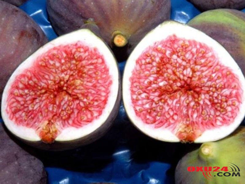 ERMƏNİ ƏSGƏRİ MƏHV EDİLDİ