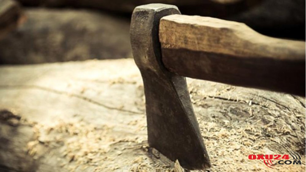 Azərbaycanda 30 yaşlı qız dayısını baltaladı - TƏFƏRRÜATLAR