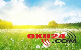 Güclü külək əsəcək.. - İstirahət gününün havası