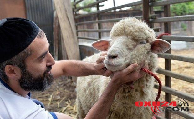 Qurban ətini satmaq olar? - İlahiyyatçıdan QEYRİ-ADİ CAVAB