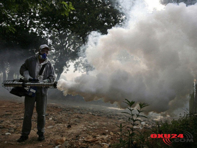 Ölümcül xəstəlik yüzlərlə can alıb