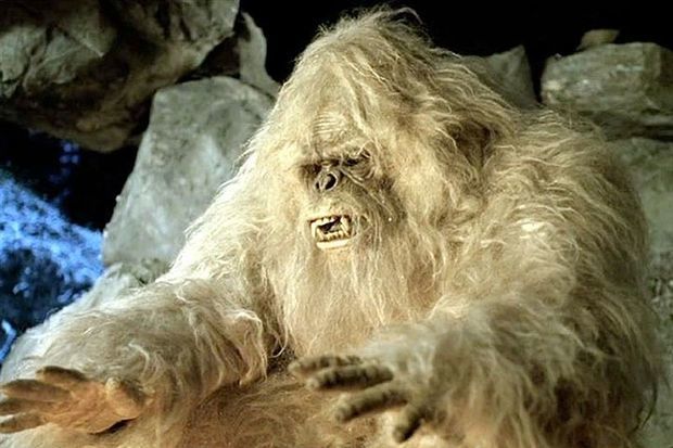 Ucar polisi naməlum məxluqu tutmağa çalışır