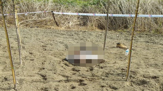 Azərbaycanda QORXUNC HADİSƏ: Bakıdan Nabrana getdi - Daşla öldürüldü