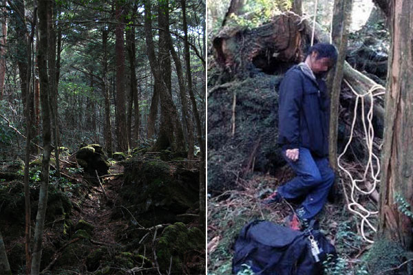 Toydan sonra asılmış meyiti tapıldı -Neftçalada ŞOK hadisə
