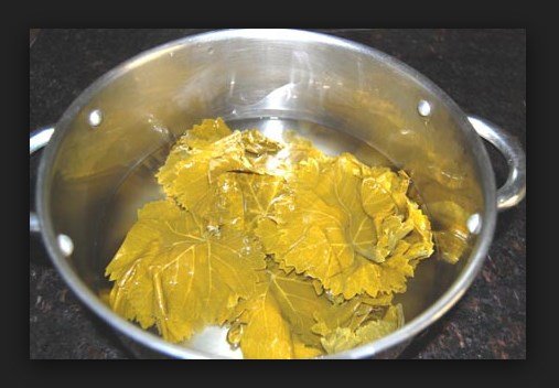 Yaxınlarınızı spirtli içkilərdən diksindirmək və birdəfəlik tərgitmək istəyisiniz?-2 üzüm yarpağı kifayətdir