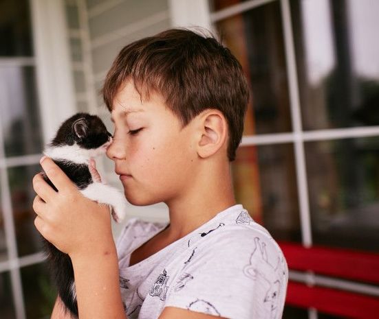 Bakıda pişik balası uşağın ölümünə səbəb oldu