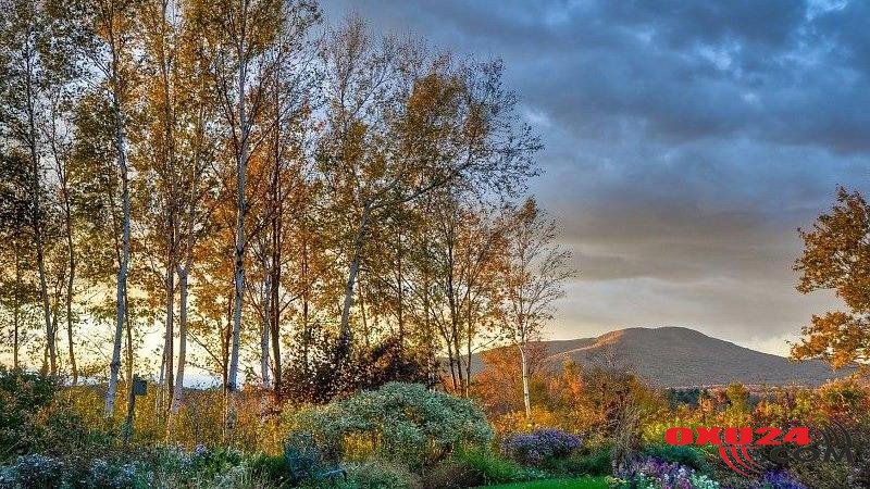 Azərbaycanın bəzi yerlərində temperatur 8 dərəcəyə kimi enəcək - SABAHIN HAVASI