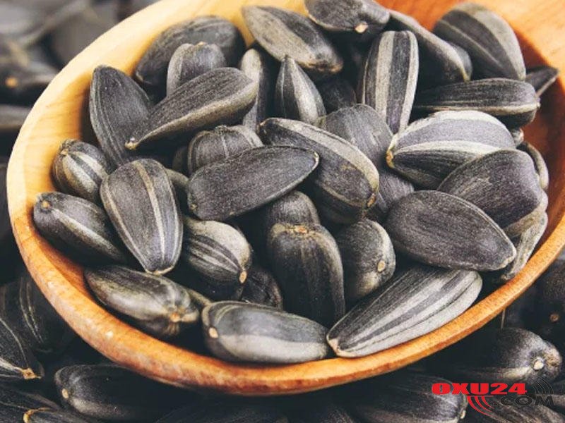 Günəbaxan tumu appendisitin əmələ gəlməsinə səbəb ola bilməz