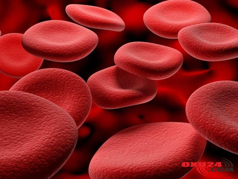 \\\"Azərbaycanda anemiya və bu kimi xəstəliklərin aradan qaldırılması ilə bağlı qanun qəbul ediləcək\\\" - Deputat