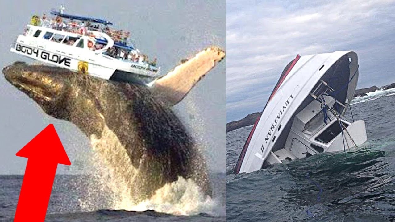 Bu görüntülər sizi şoka salacaq