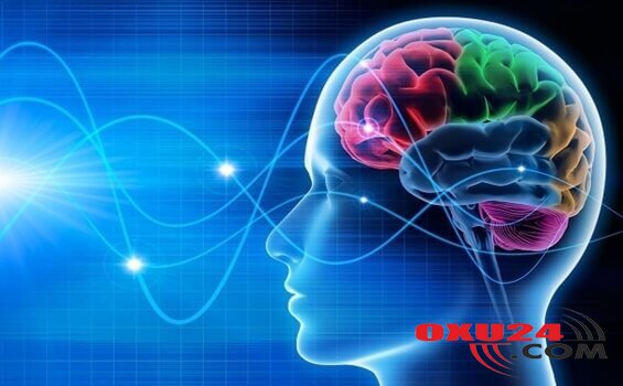 Nə etmək lazımdır ki yaddaşımız itməsin&nbsp;