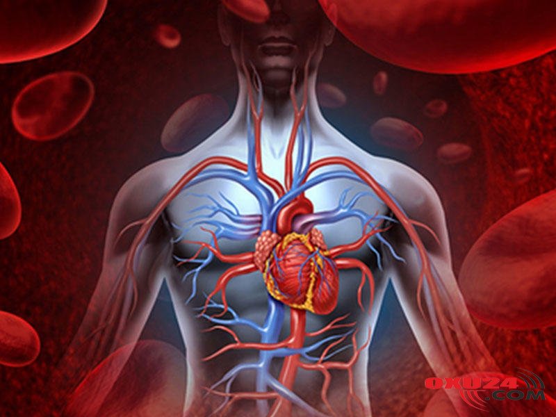 Bu məhsullar orqanizmi yavaş-yavaş məhv edir - SİYAHI