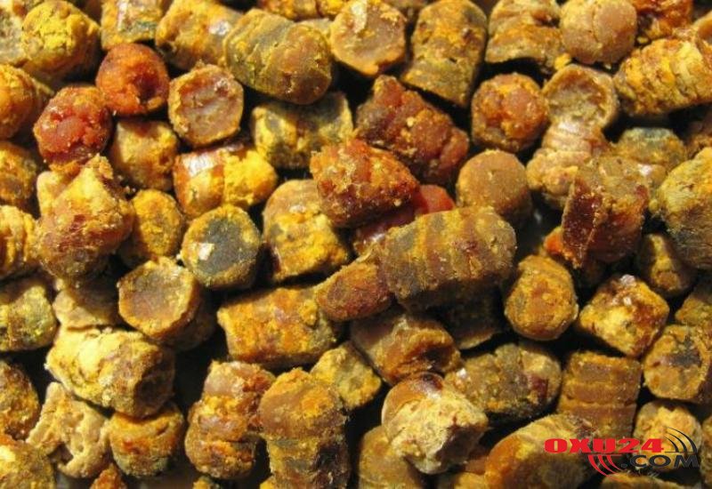 Arıların ayaqlarındaki möcüzəvi qida – Minbir dərdin dərmanı imiş