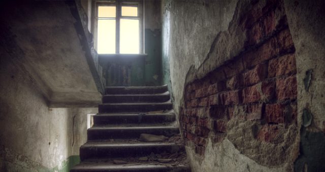 Qorxunc hadisə: Evə girən yanğınsöndürənlər mənzildə itlə qadın skeleti tapdı