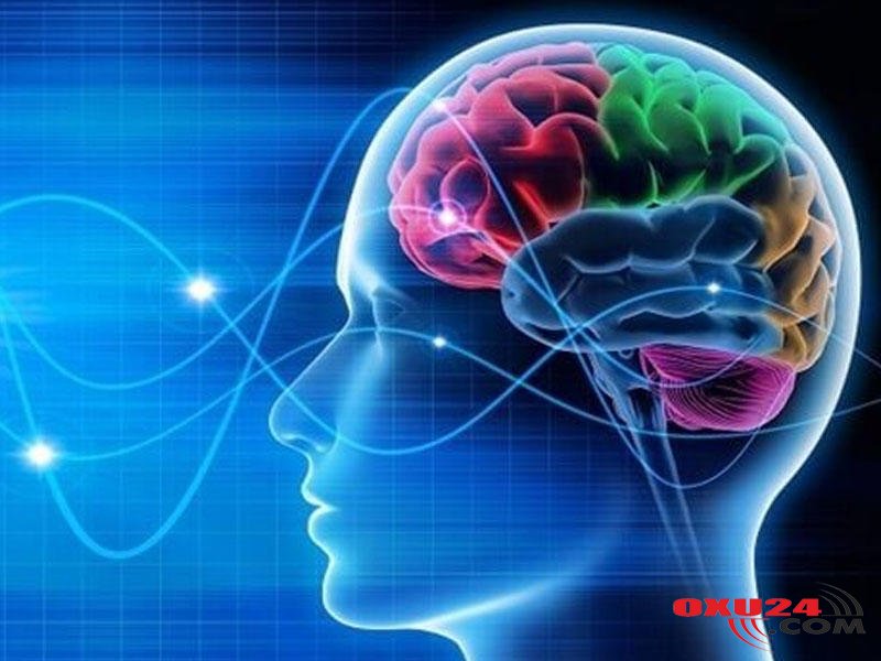 İnsan ölümdən əvvəl nə hiss edir? - Alimlər açıqladı