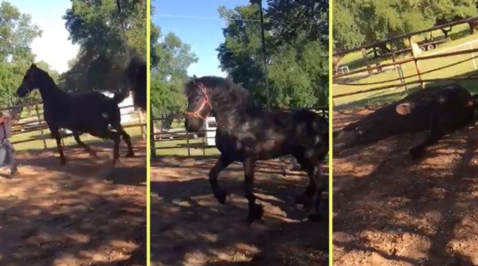 Azərbaycanda DƏHŞƏT: Qonşular qadını ata bağlayıb sürüdü