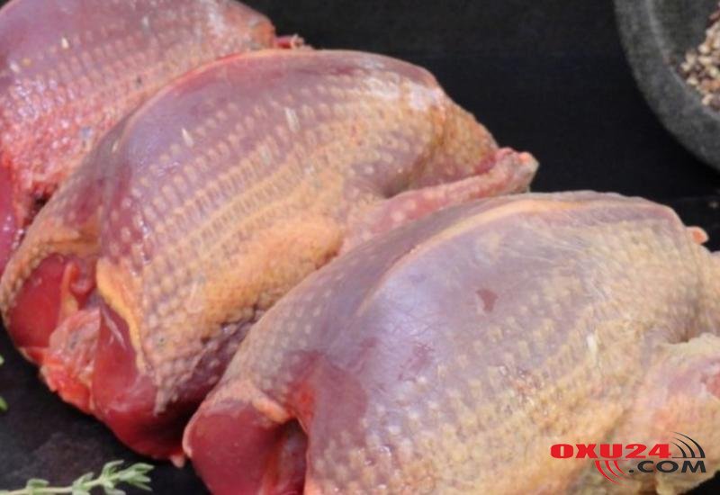 Təzyiq, piylənmə, xərçəng... - GÖYƏRÇİN ƏTİNİN FAYDALARI