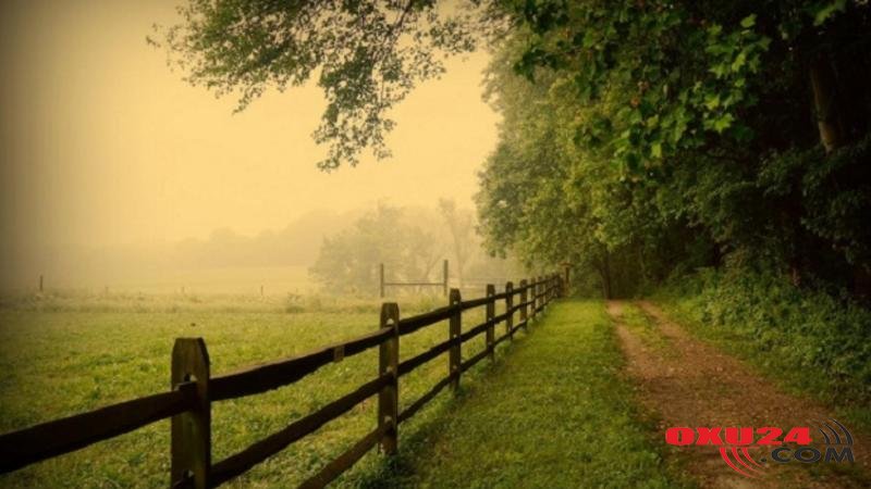 Azərbaycana yay havası qayıdır - Bu ərazilərdə 30 dərəcə isti olacaq