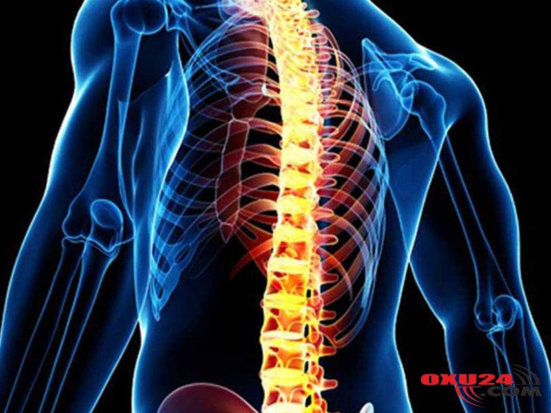 Fəqərə sürüşməsi nəyə səbəb olur? 12 Oktyabr 2019