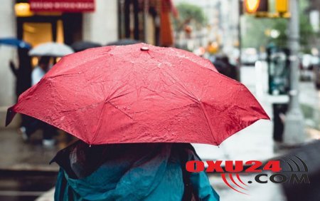 Əli Kərimli saxlanıldı