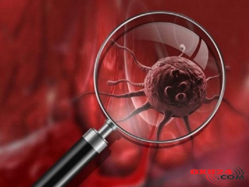 Evdəki bu əşya xərçəngə səbəb olur - ÜST xəbərdarlıq etdi