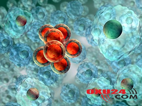 Xərçəngin yayılmasının qarşısını almaq mümkündür