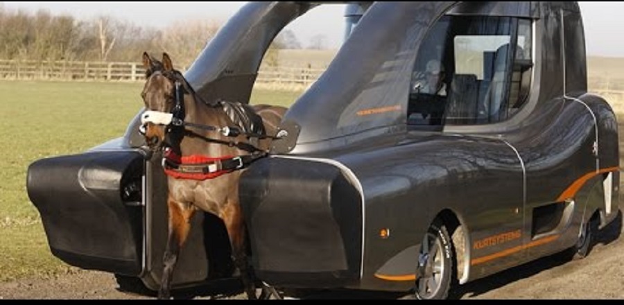 Atın gücü necə ölçülür? - Maraqlı fakt