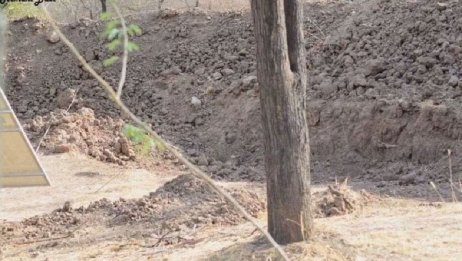 Fotoda heyvan harada gizlənib? — Dünyaca  məşhur  TEST