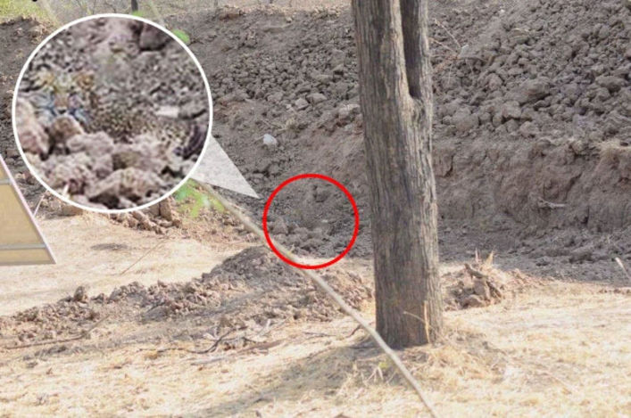 Testin düzgün cavabı