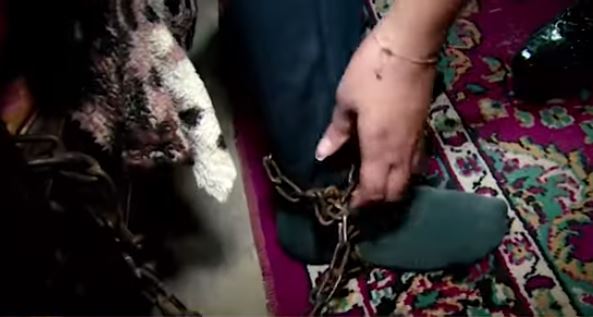 Bakıda dəhşət: Zəncirlənən uşağı açdılar, görün nə etdi (VİDEO)