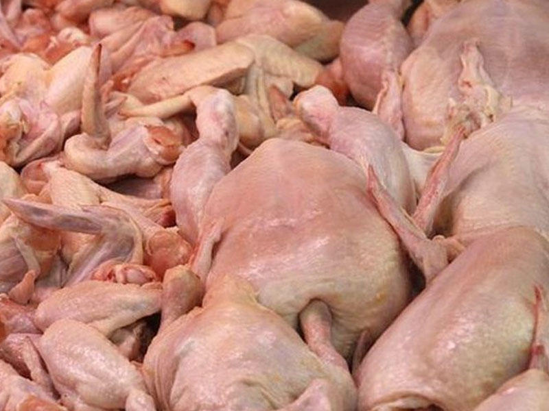 Bu toyuqlar uşaqlarda vaxtından tez cinsi yetişkinlik yaradır?