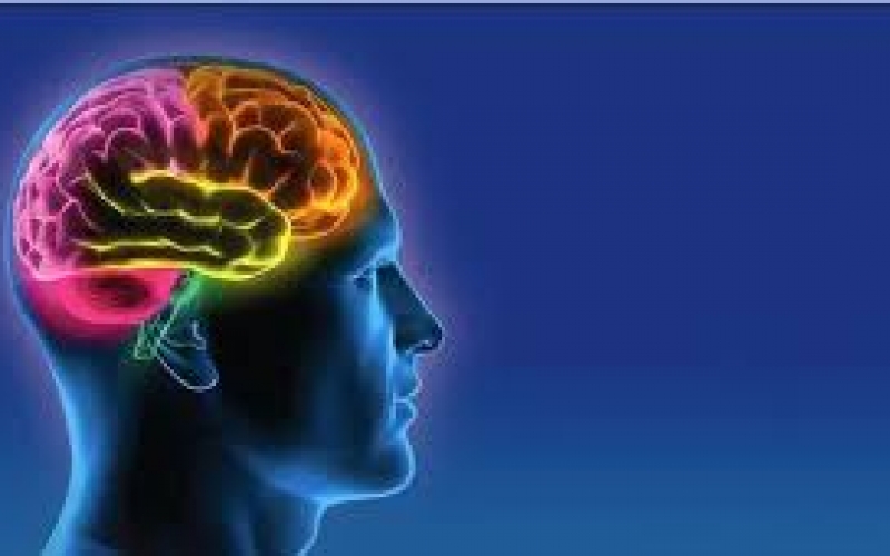 Yaddaşı 20 %-ə qədər artırmaq mümkün oldu - ARAŞDIRMA